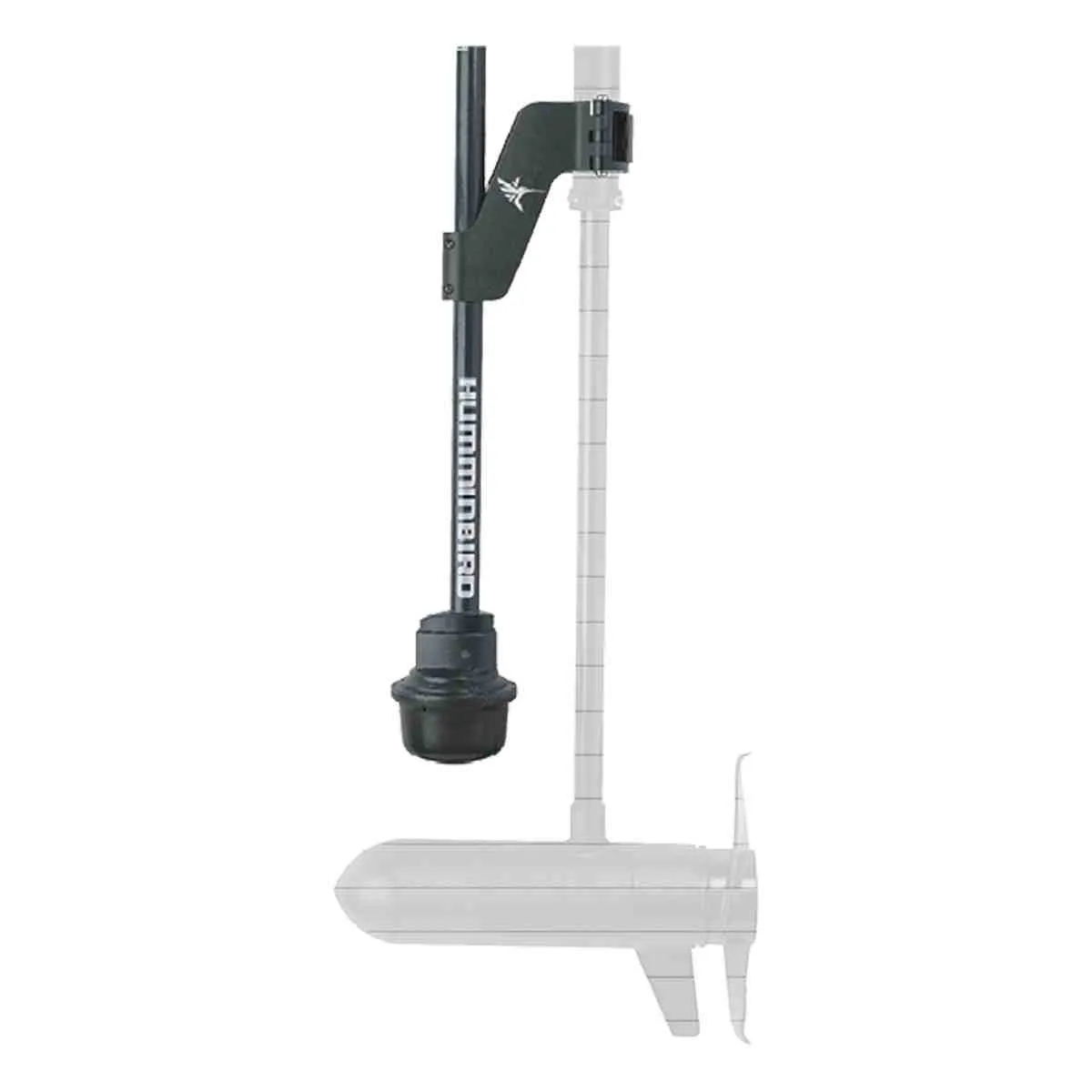 Transducer Mega 360 Imaging T/S Ultrex