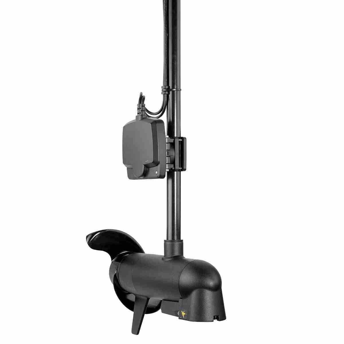 MEGA Live Imaging - Image 2