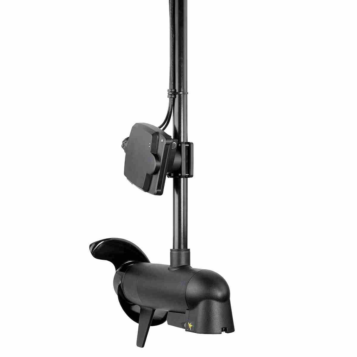 MEGA Live Imaging - Image 3