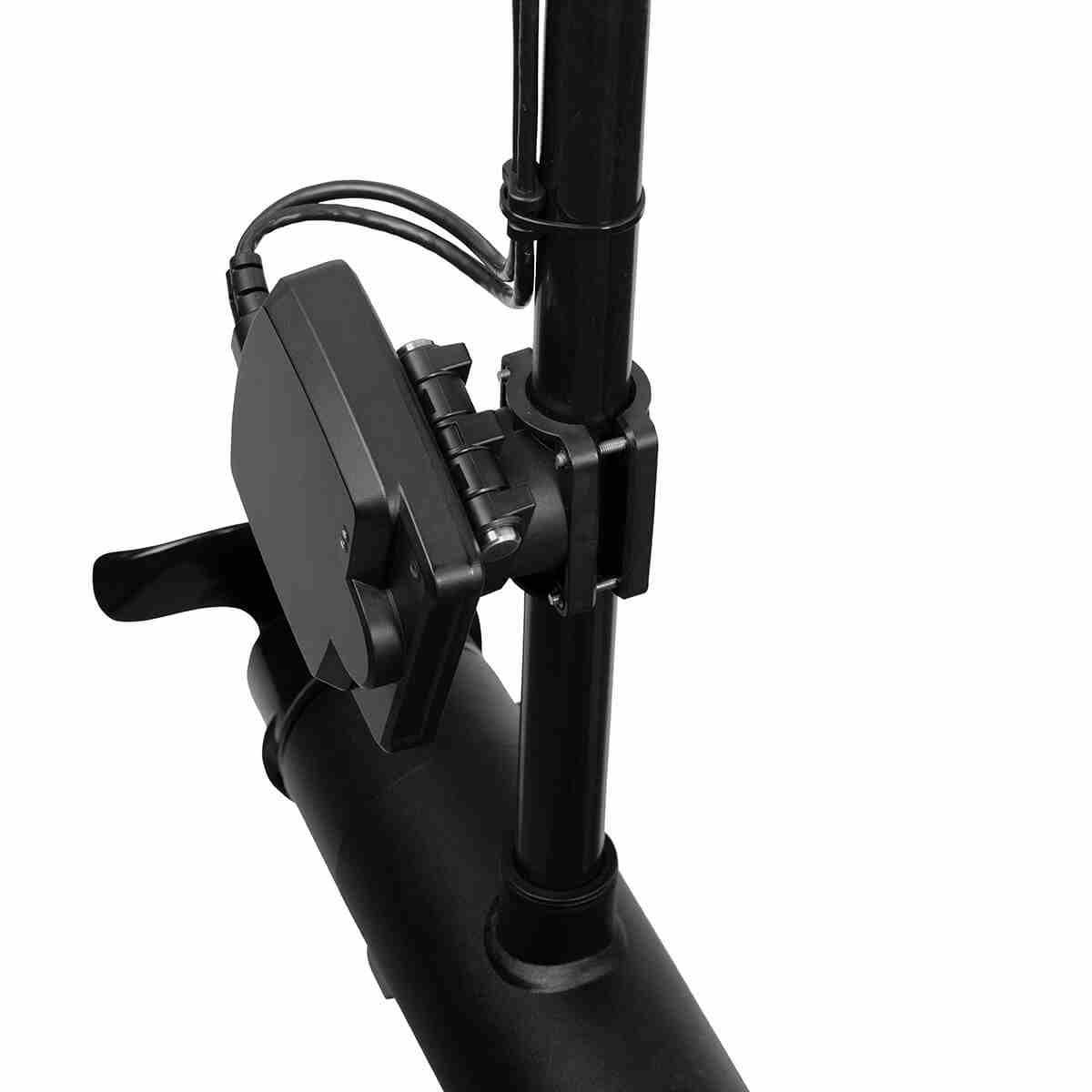 MEGA Live Imaging - Image 5