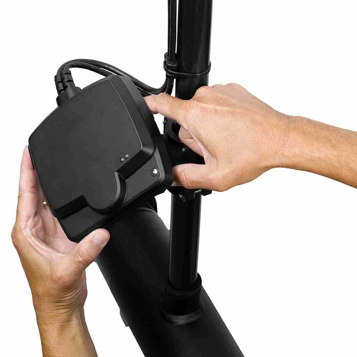 MEGA Live Imaging - Image 6