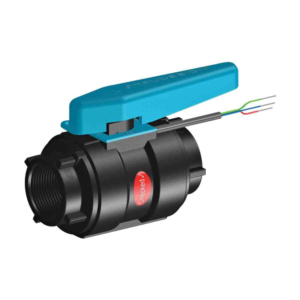 B'VALVE COMP POSITION MNTRD 1 BSP PKG