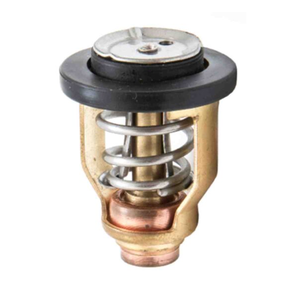Sierra® Thermostat - Yamaha®