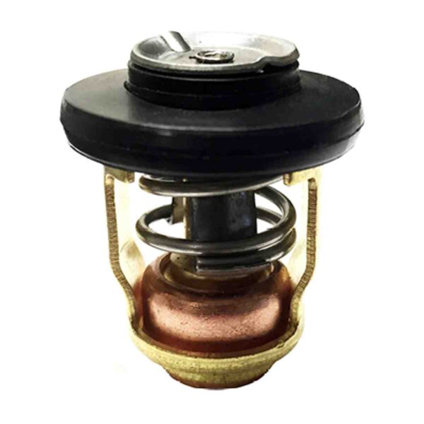 Sierra® Thermostat 50C - Yamaha®