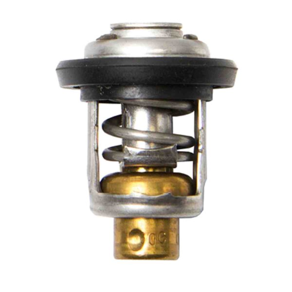 Sierra® Thermostat 60C - Yamaha®