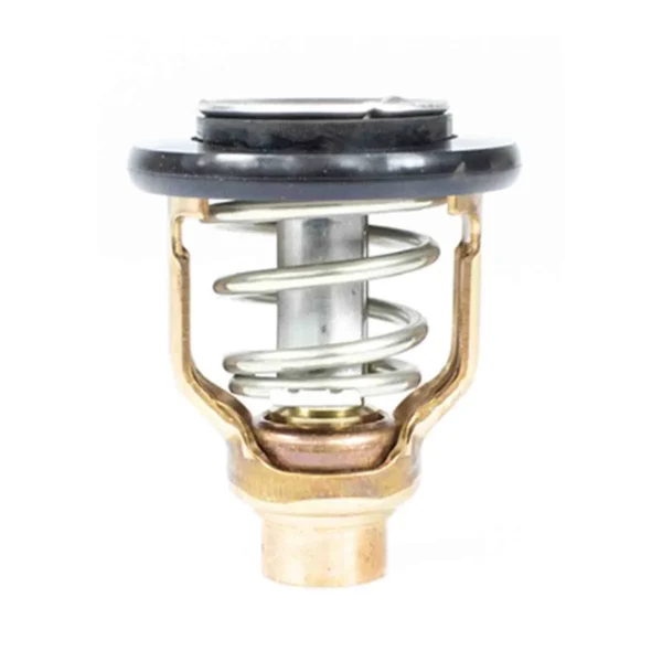 Sierra® Thermostat - Yamaha®