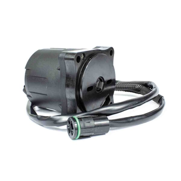 Sierra® Trim Motor - Honda